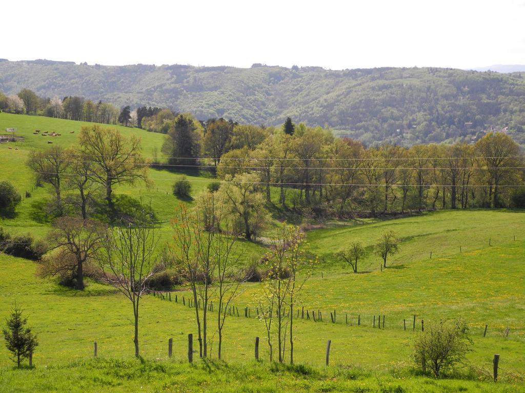 Bed and Breakfast Le Plateau De La Danse Saint-Victor-sur-Loire Esterno foto